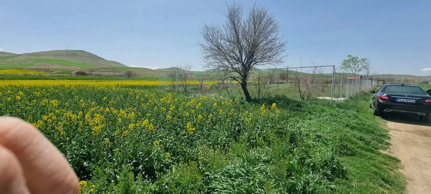 فروش زمین کشاورزی قاراوا گوره