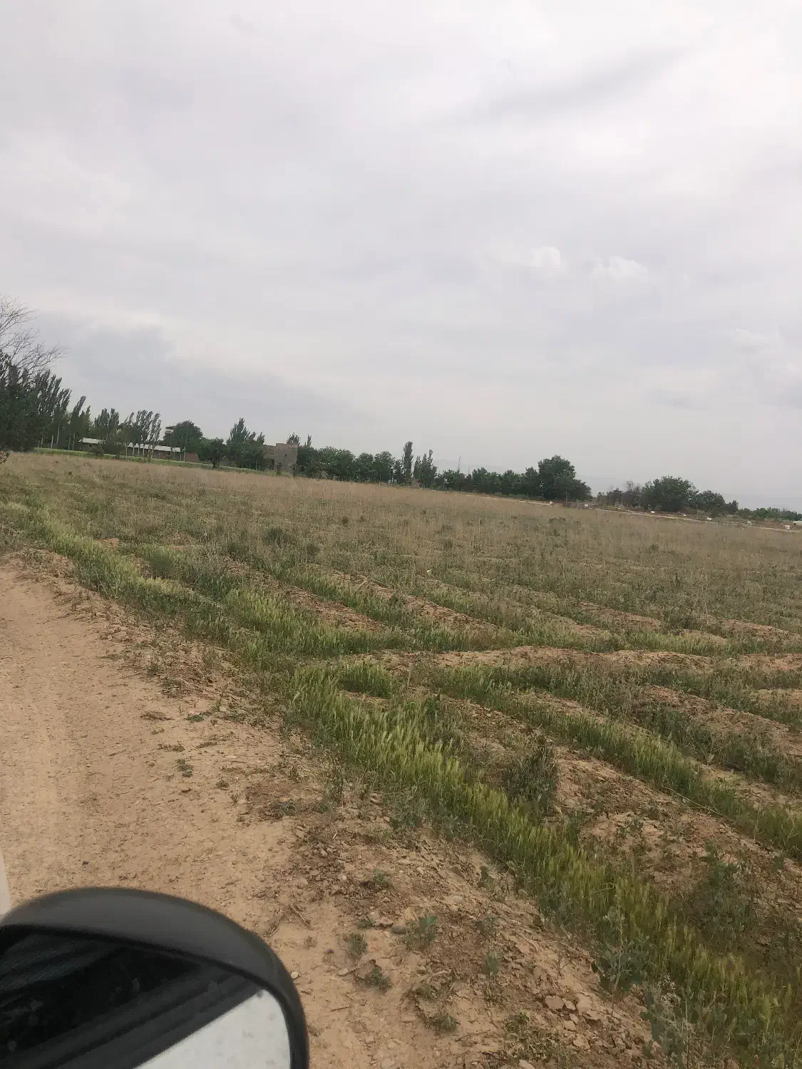 زمین باغی سند شش دانگ تک برگ
