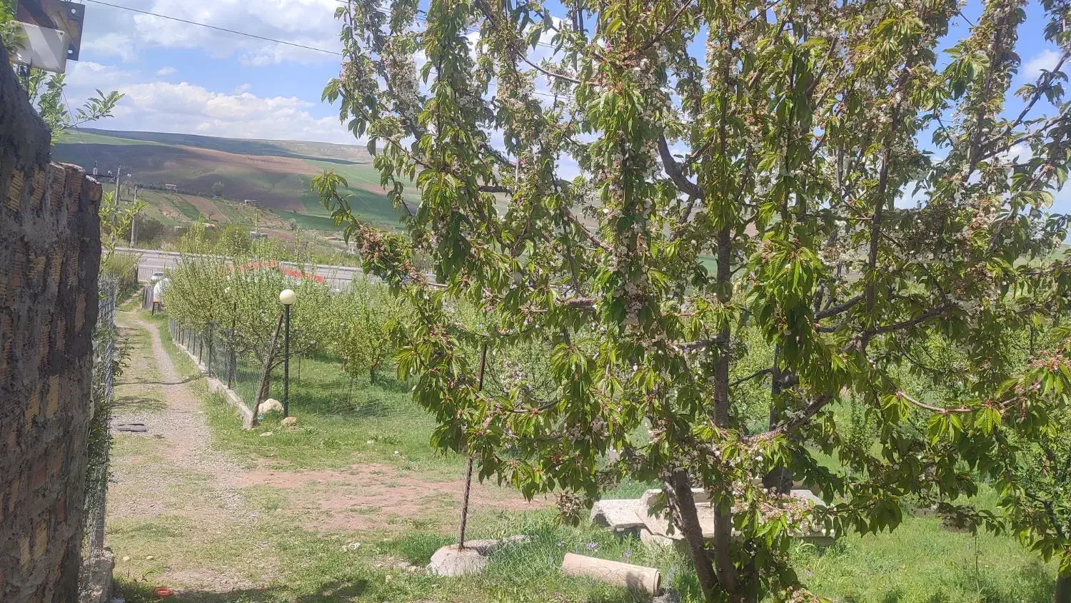 باغ اهرروستایی وردین