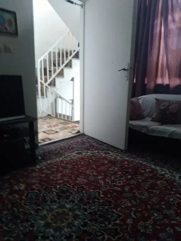 هم خانه خانم