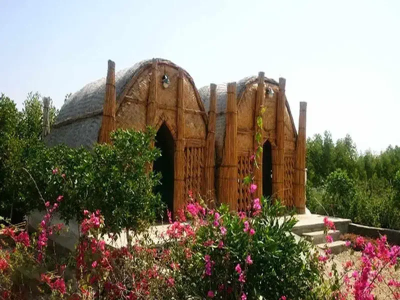 زمین مضیف حاج عبدالله مینوشهر ۸۰۰ متر