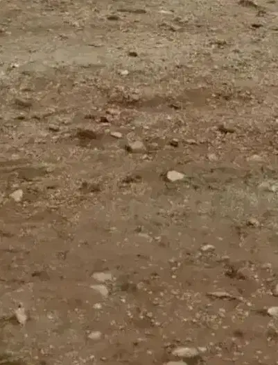 فروش یک قطعه زمین فاز ۲شبکه بهداشت