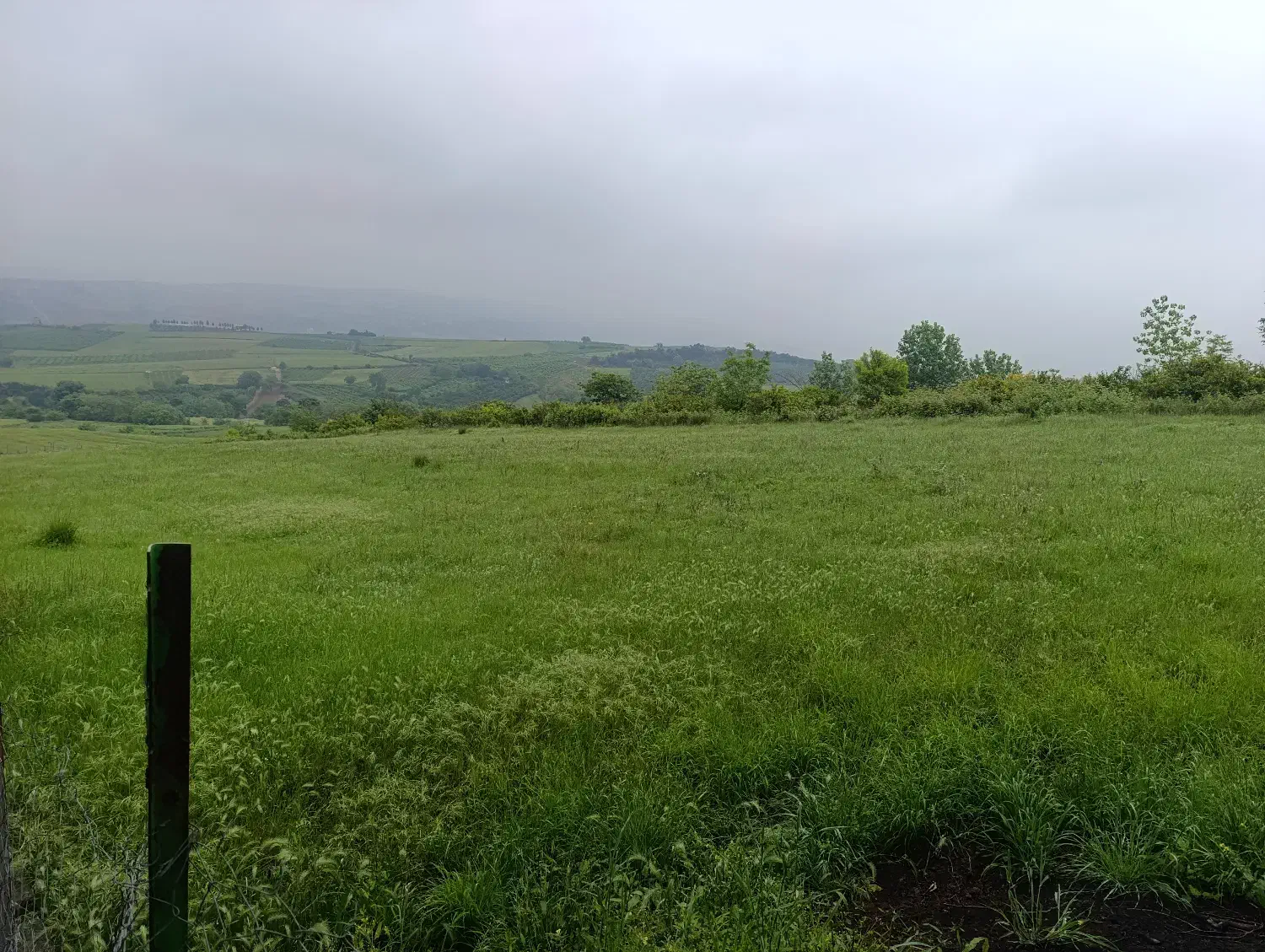 زمین باغی وکشاورزی واقع در لالیم ساری،