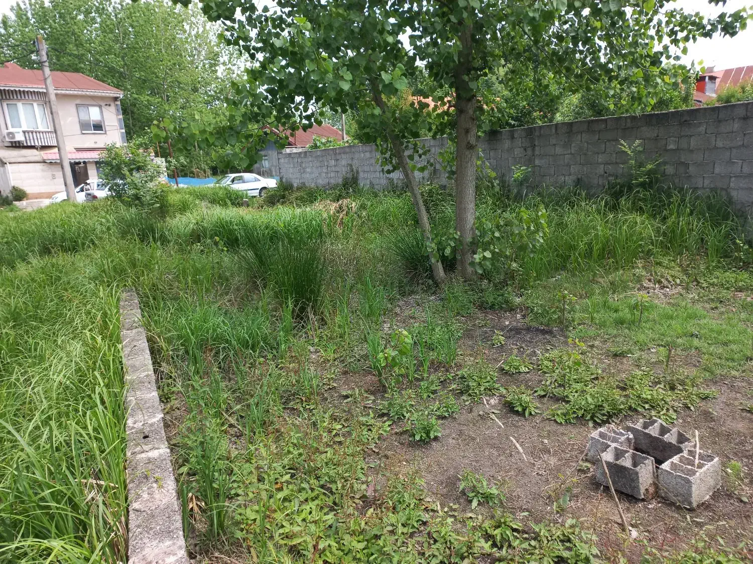 زمین باغی داخل طرح هادی