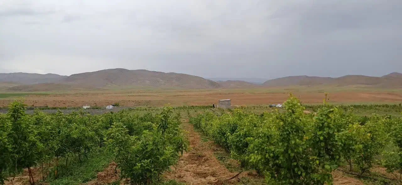 فروش زمین