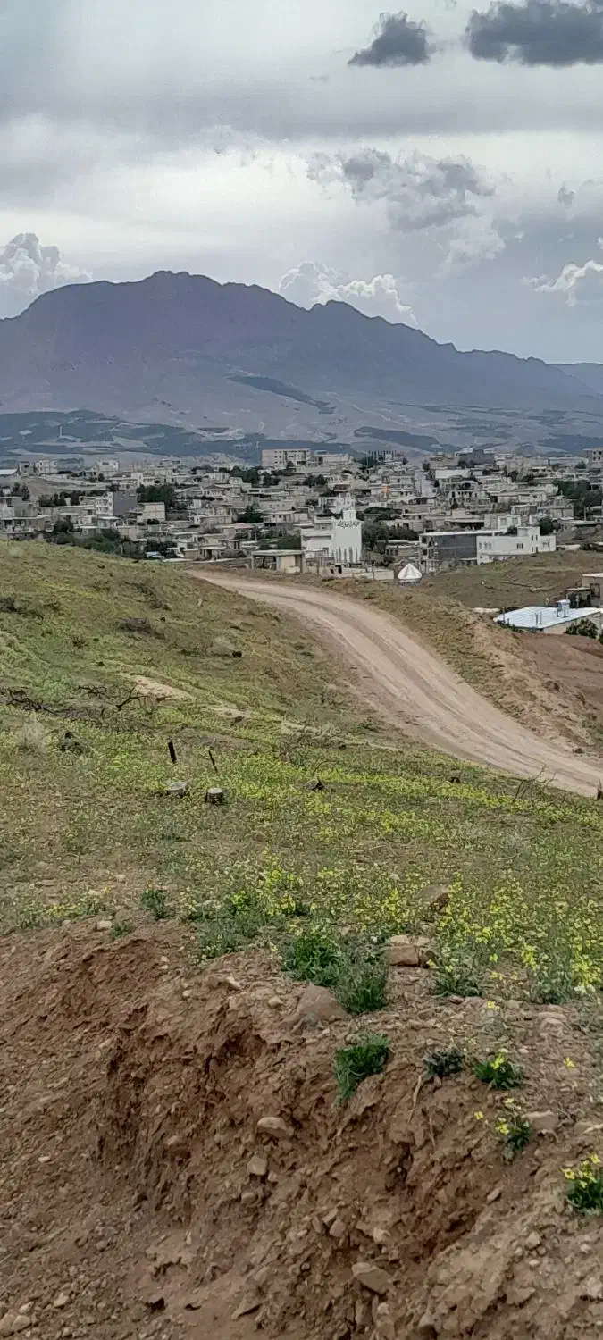 زمین کشاورزی  کنار روستا