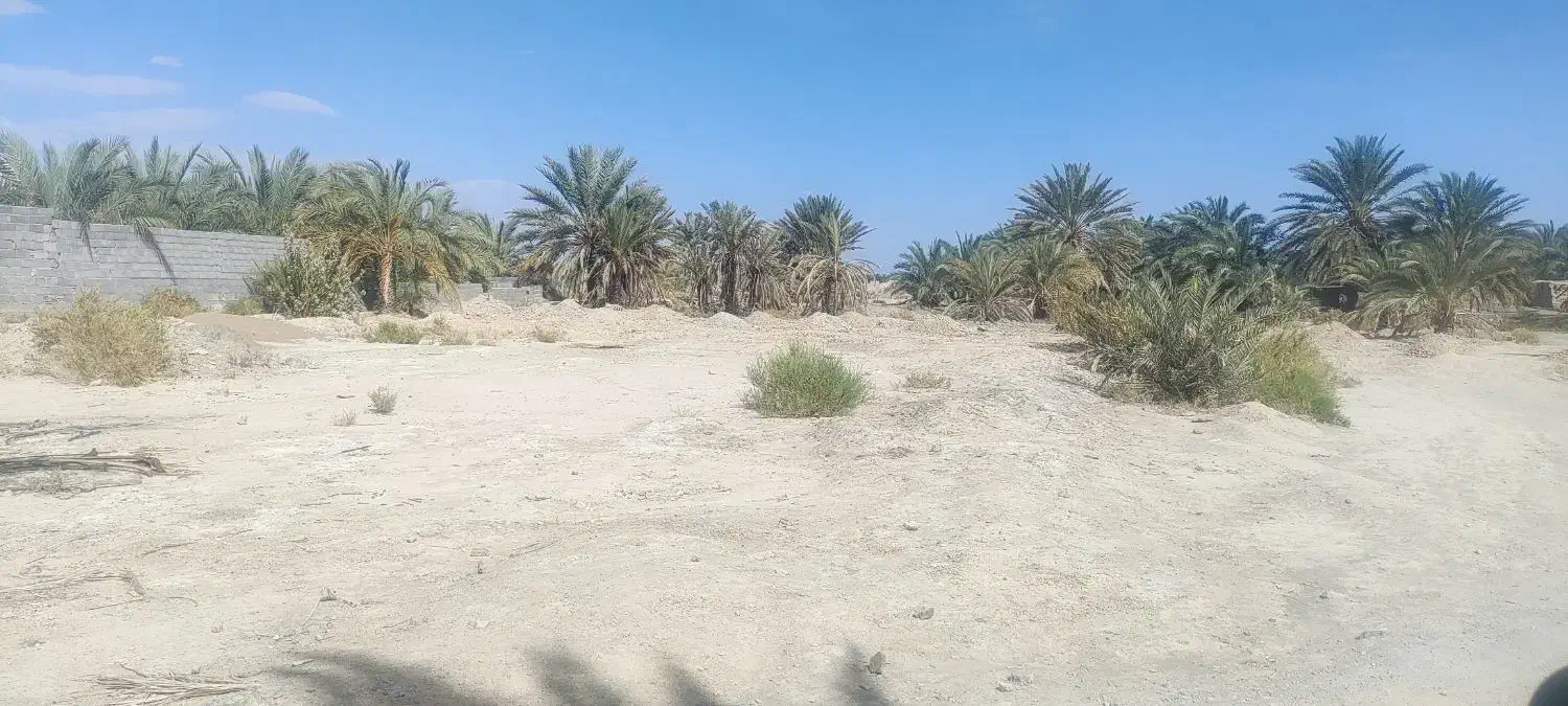 زمین زوران