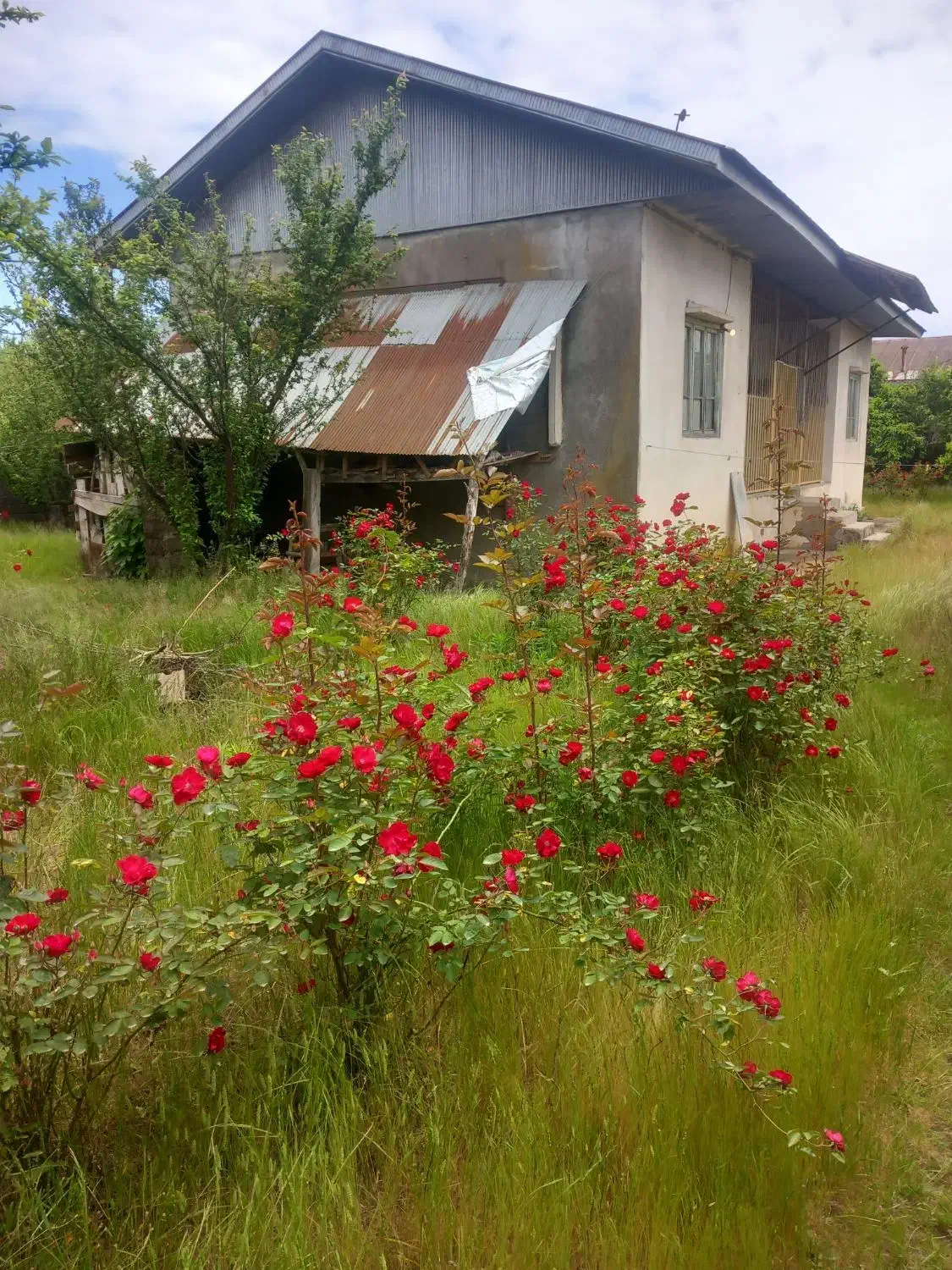 سلام یک باب منزل مسکونی به متراژ۸۳۰متر