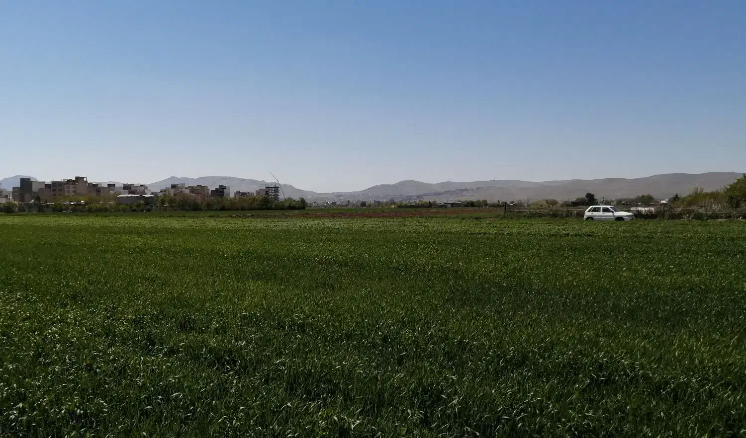 سه قطعه زمین زراعی کهریز الهیه