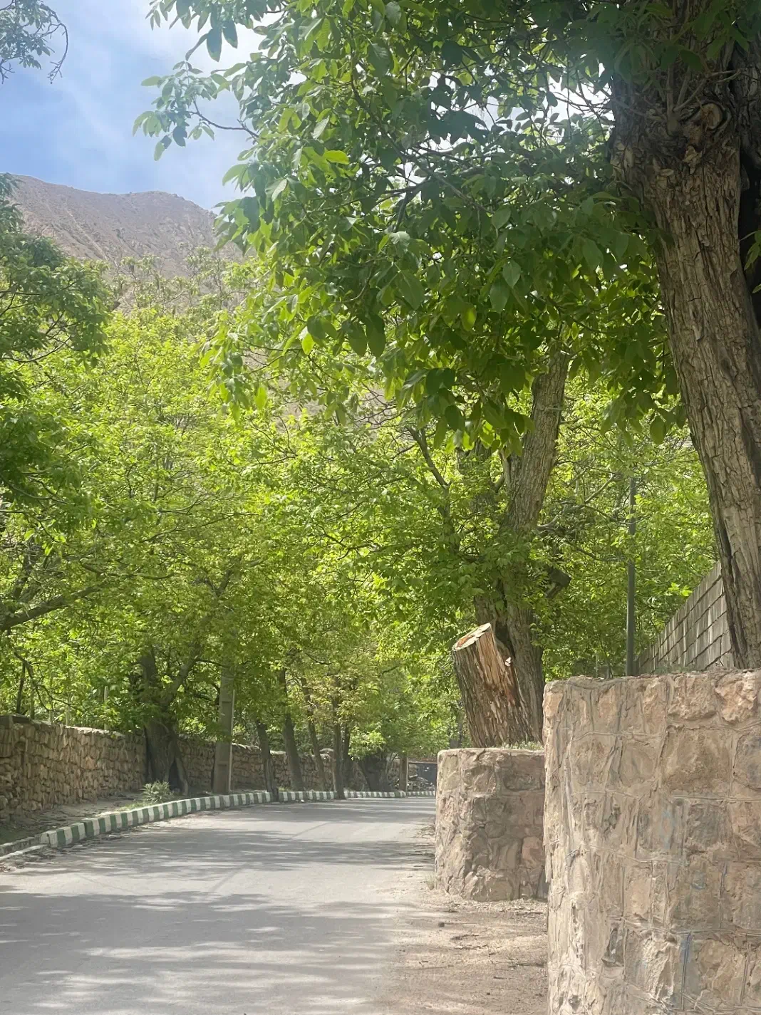 زمین ۲۱۰ متری شهمیرزاد