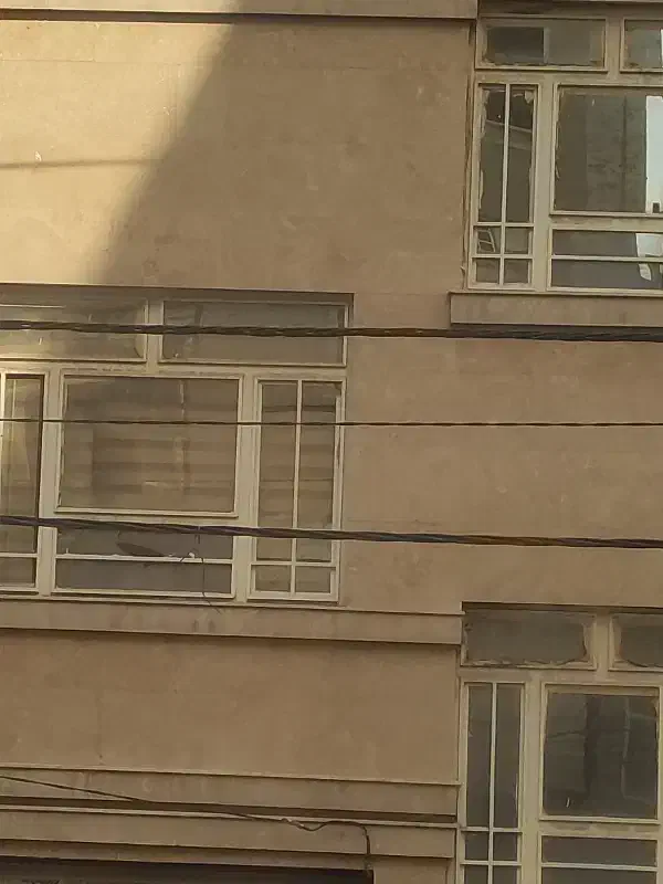 همخونه