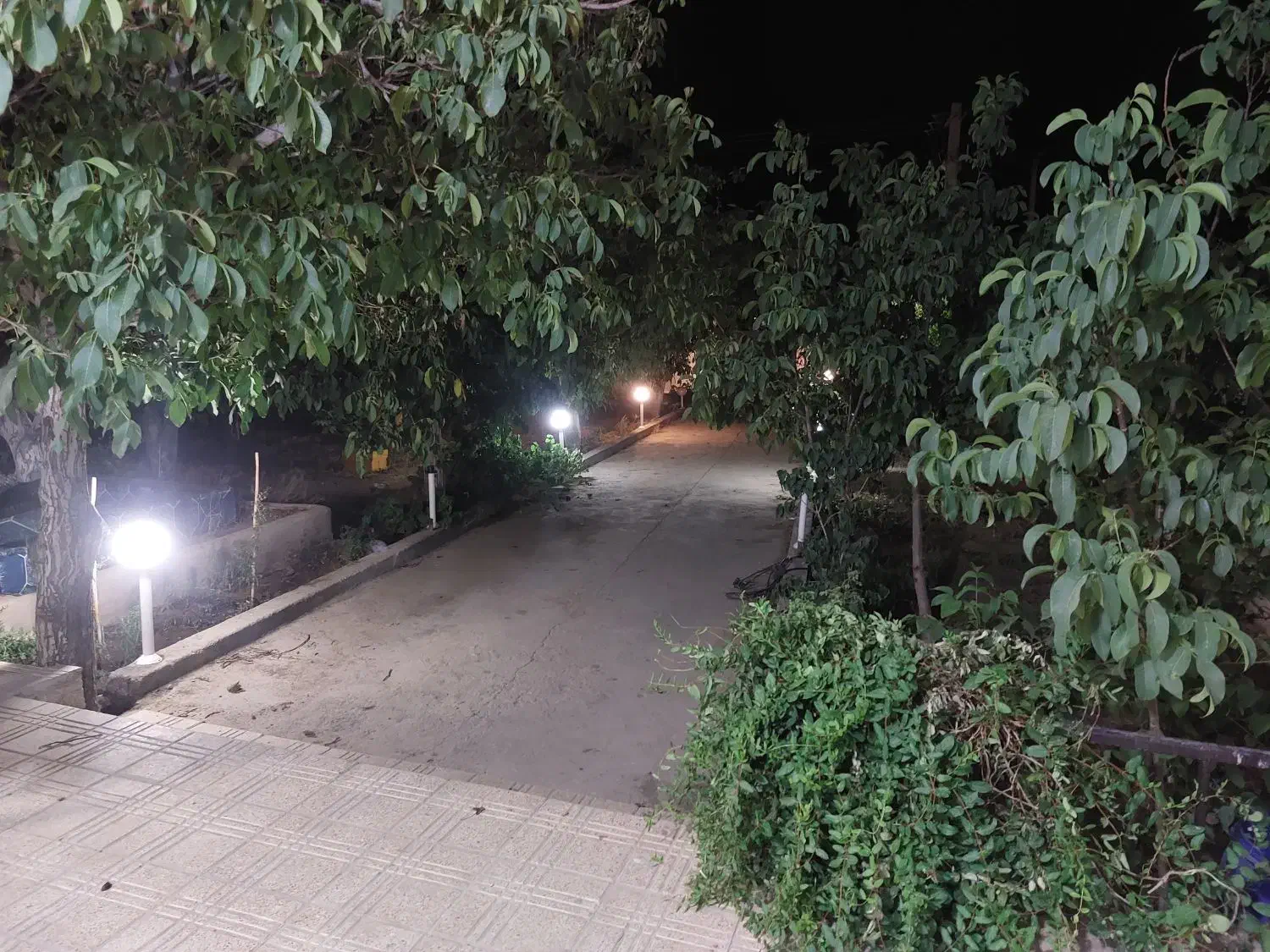 باغ ویلا دربست به مساحت 8000 متر با تمام امکانات