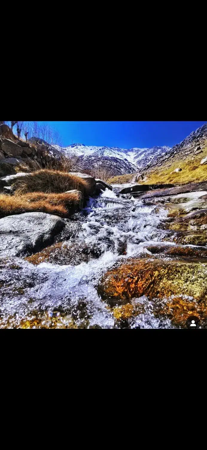اجاره ویلا باغ سنتی منشاد