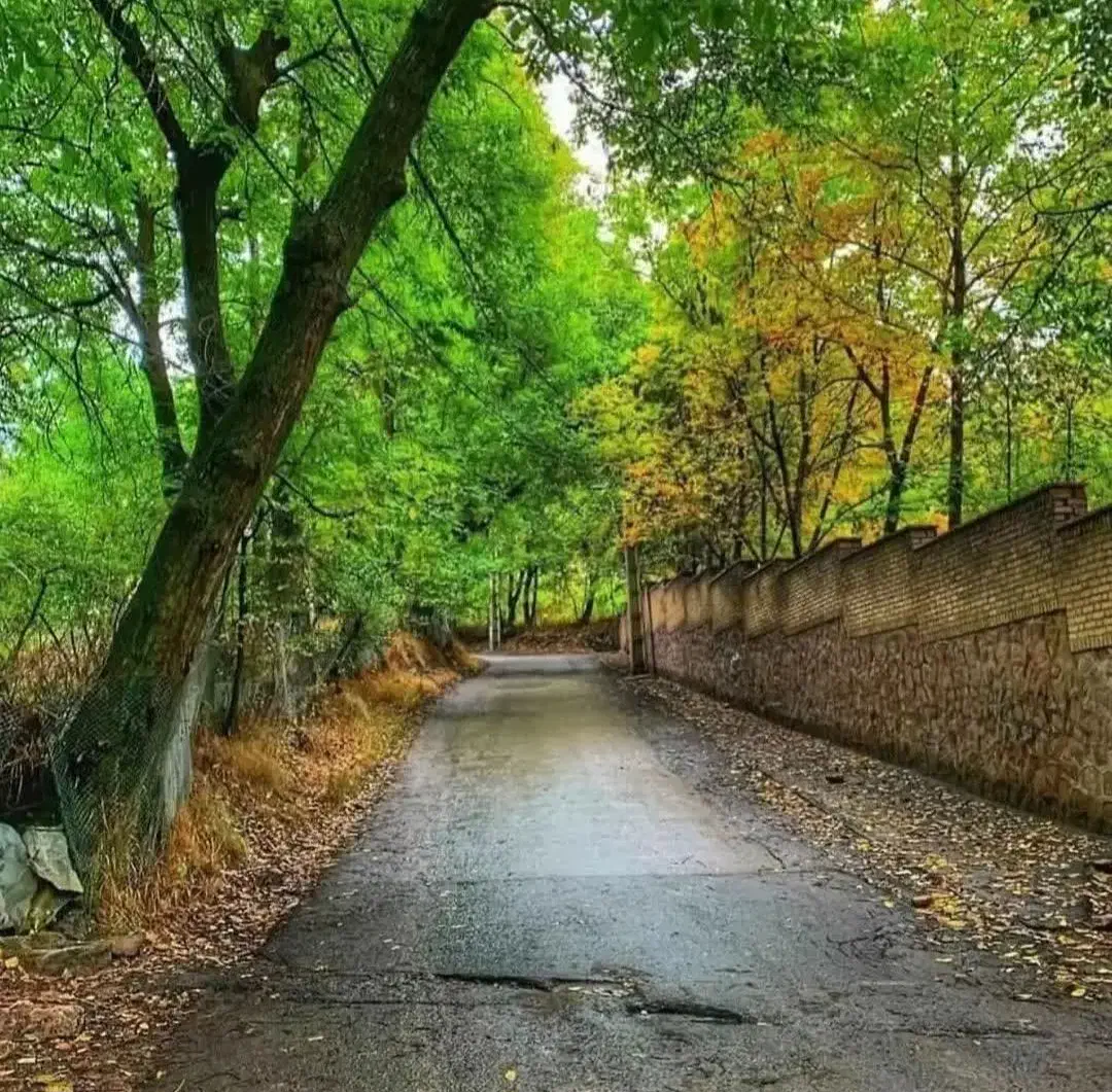 زمین ۲۰۰ متر