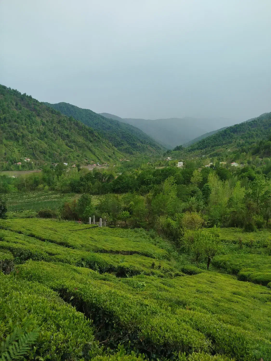 خرید فروش در منطقه کوهستانی