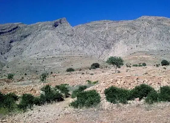 فروش زمین