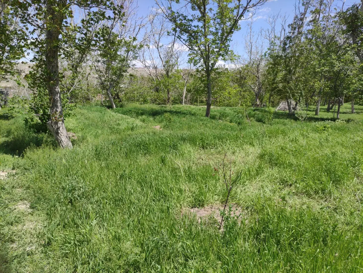 باغ زیبای اسکو
