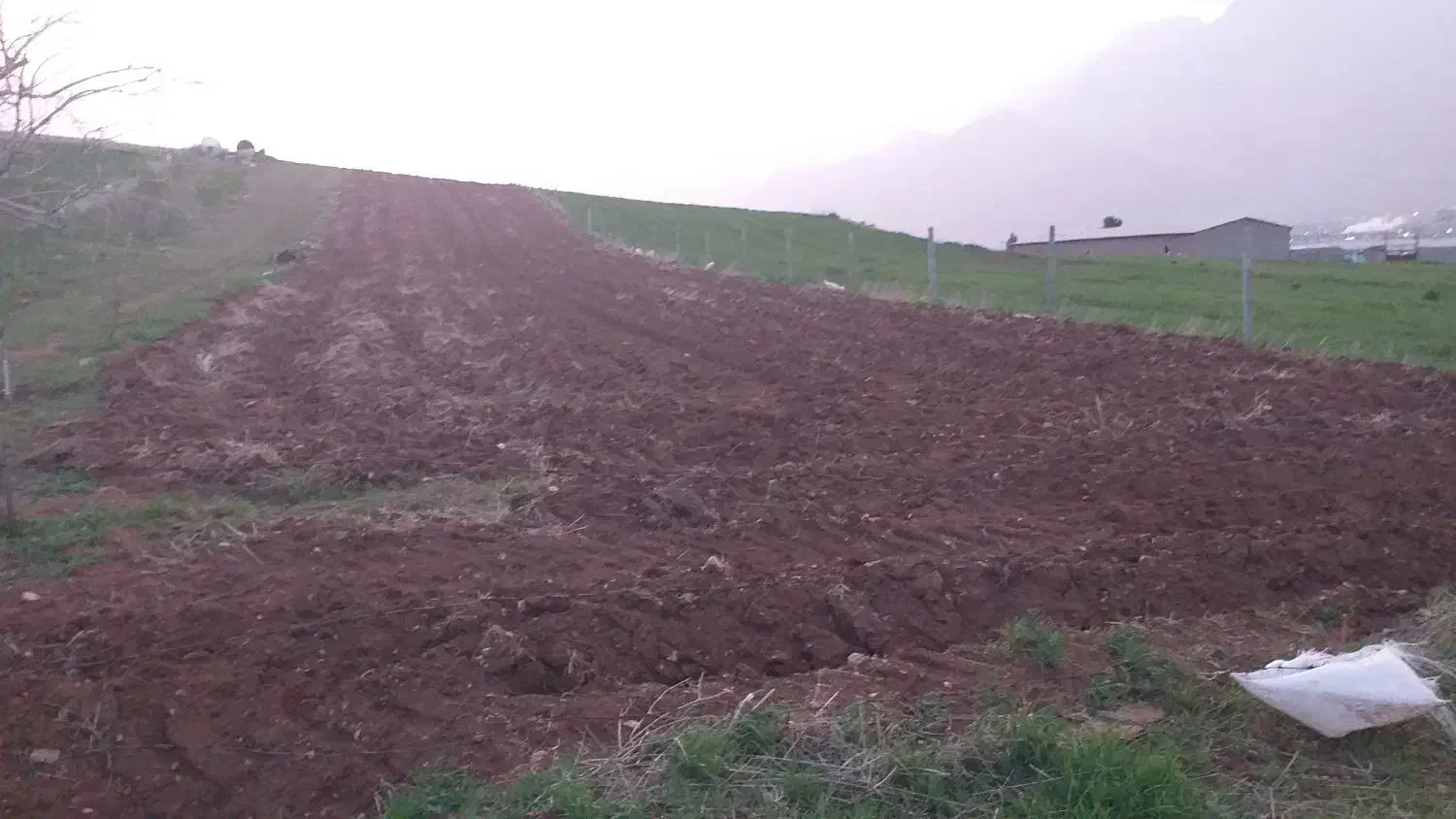 زمین دیم کشاورزی مرغوب مناسب باغ روستای گاوپناه