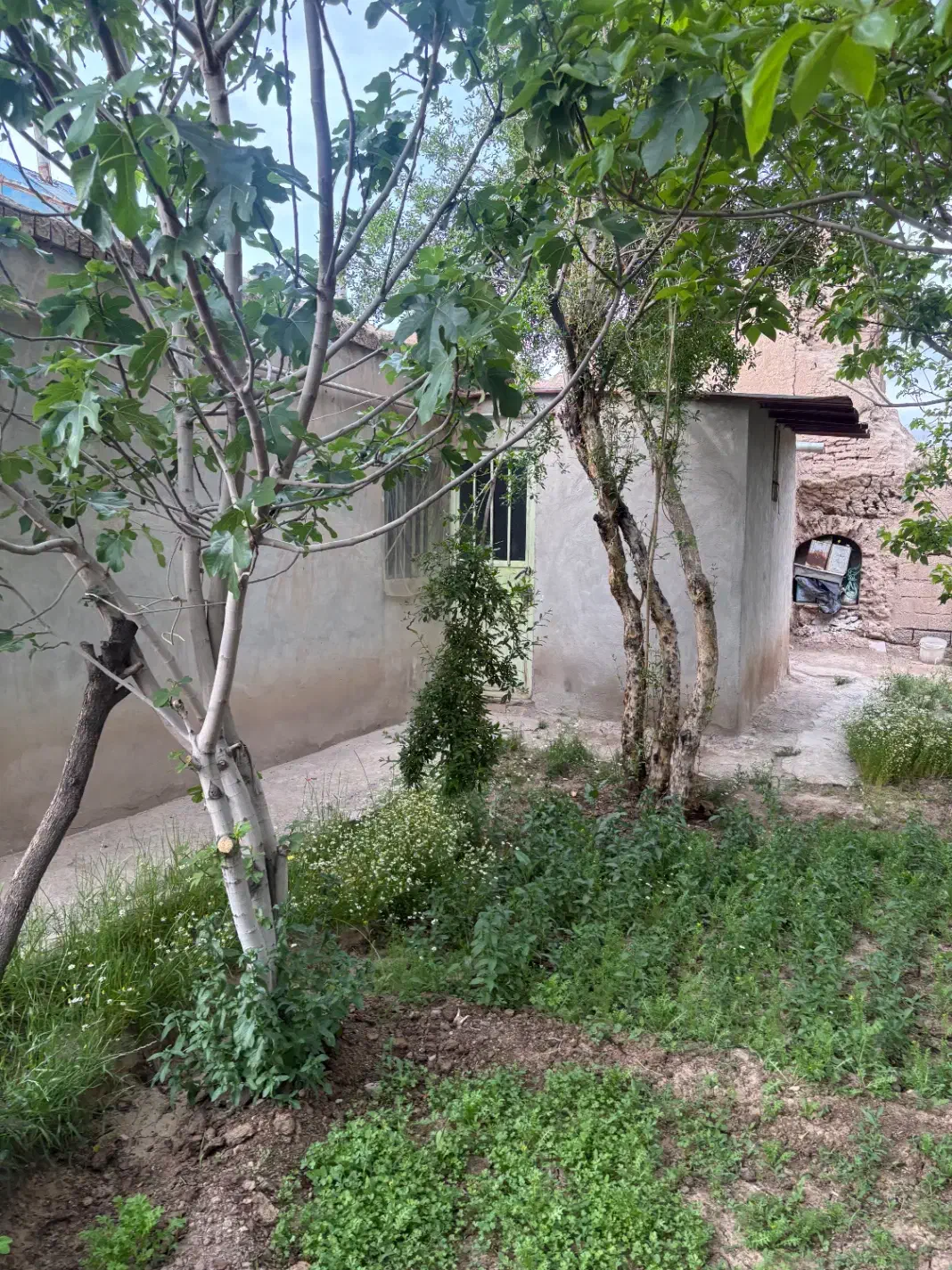خانه باغ