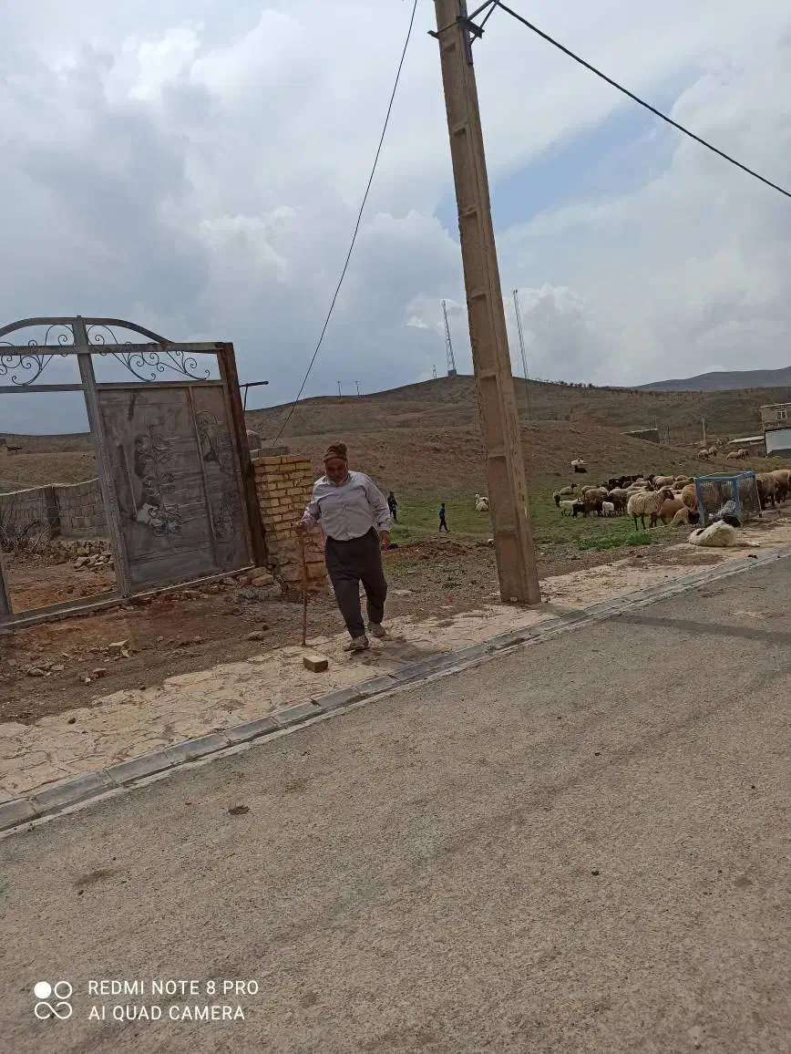 زمین باغچه فروشی