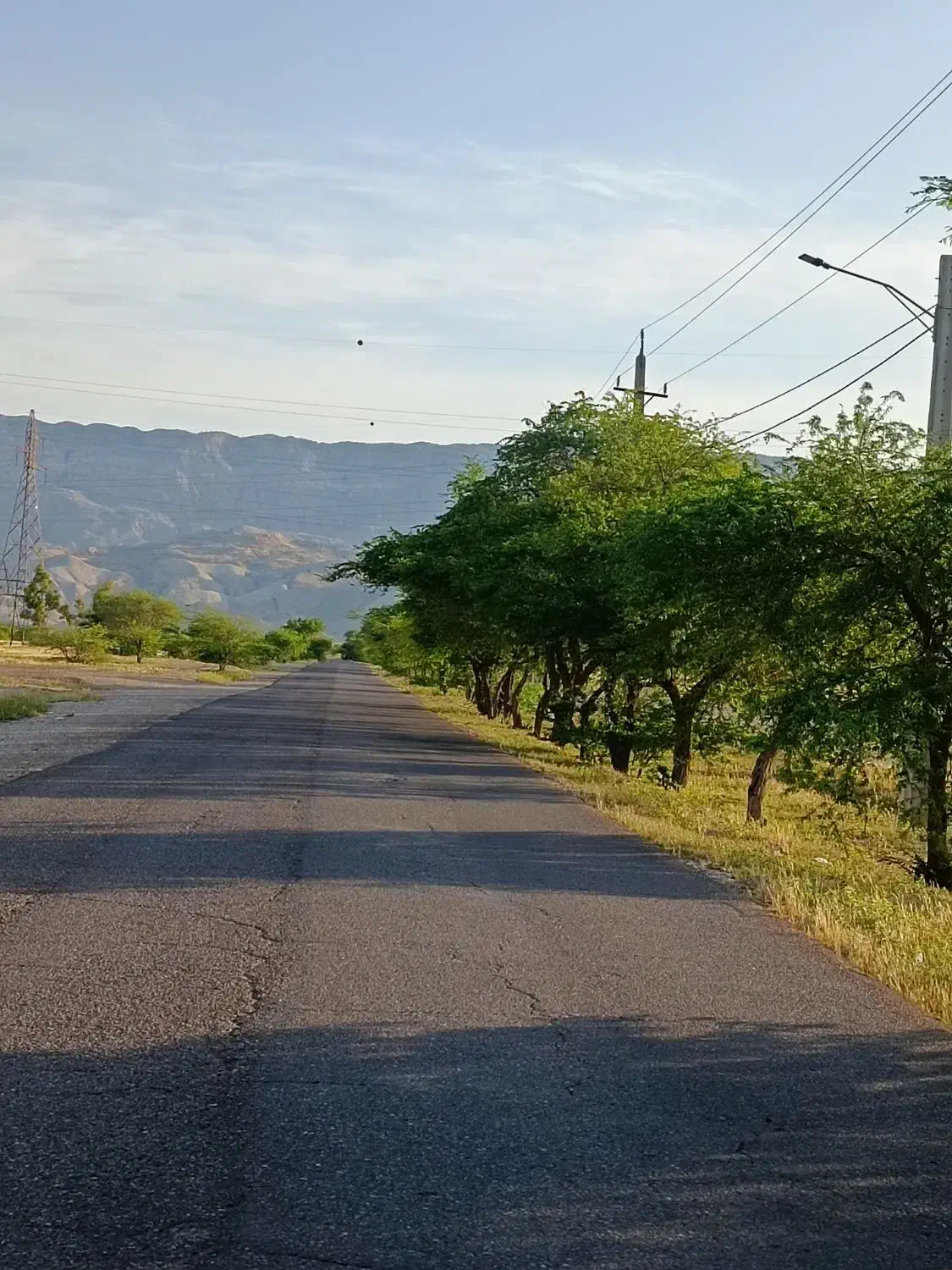 زمین و املاک