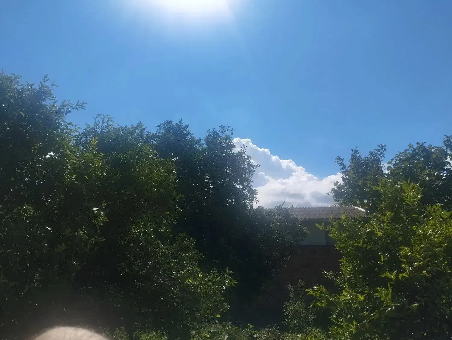 اتاق مجردی کارگری