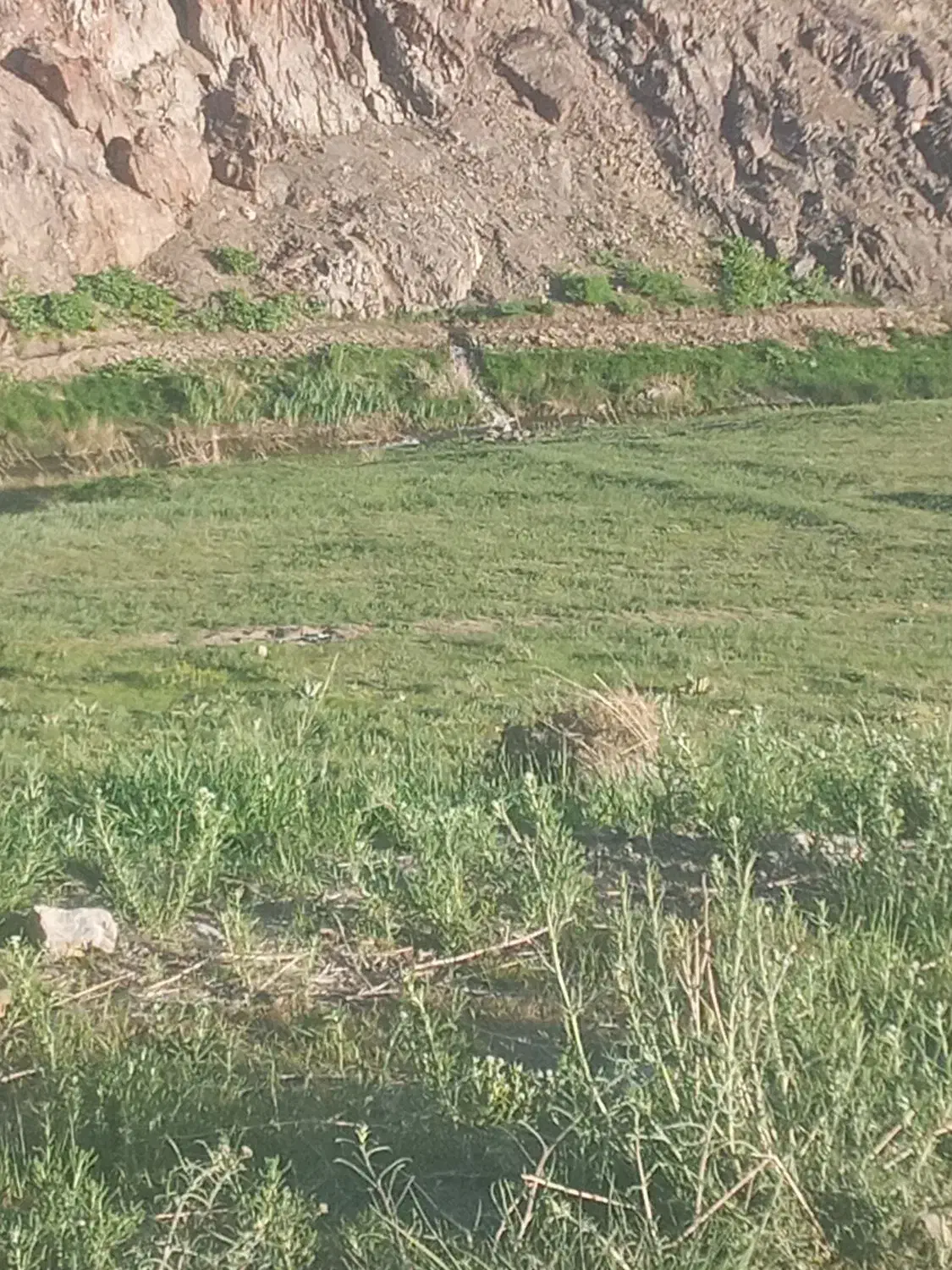 زمین  اطراف شهر