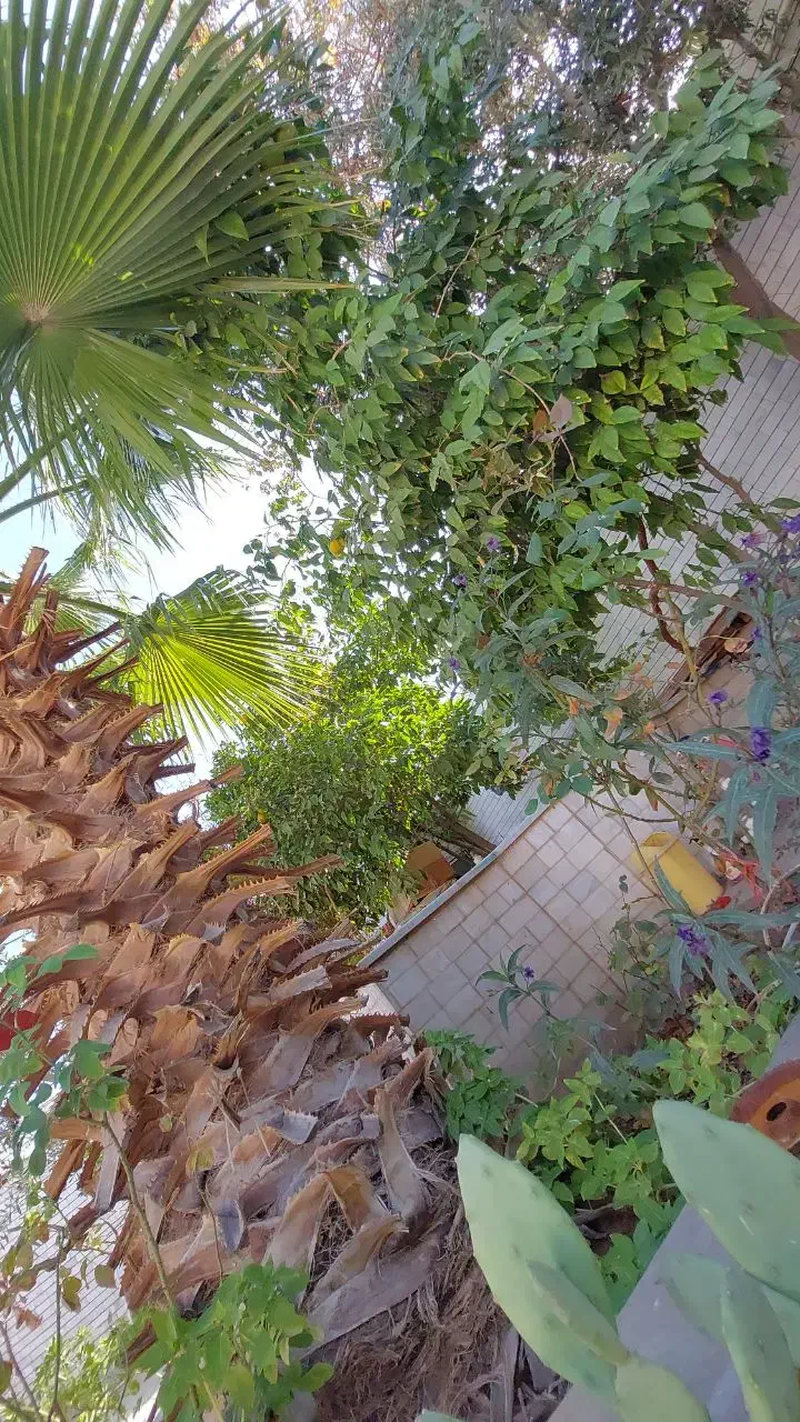 رهن و اجاره خانه ویلایی