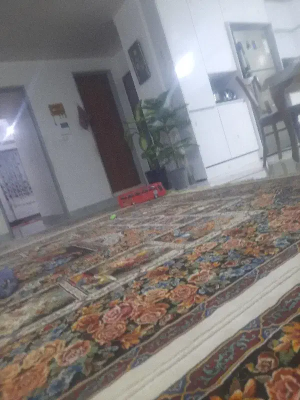 ویلایی بر اصلی