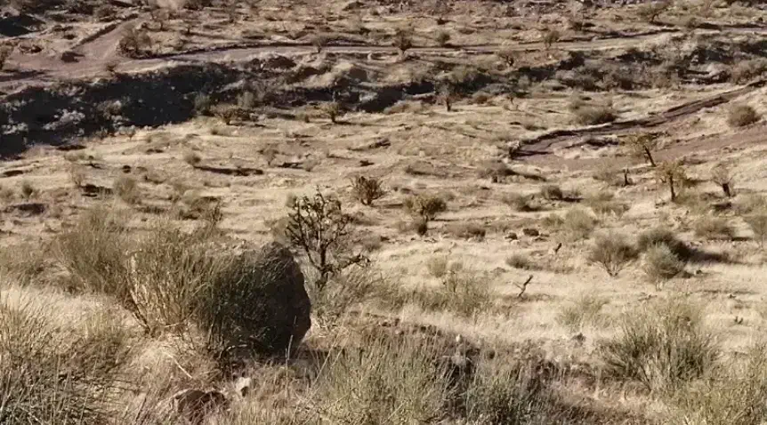 فروش ملک بیابون