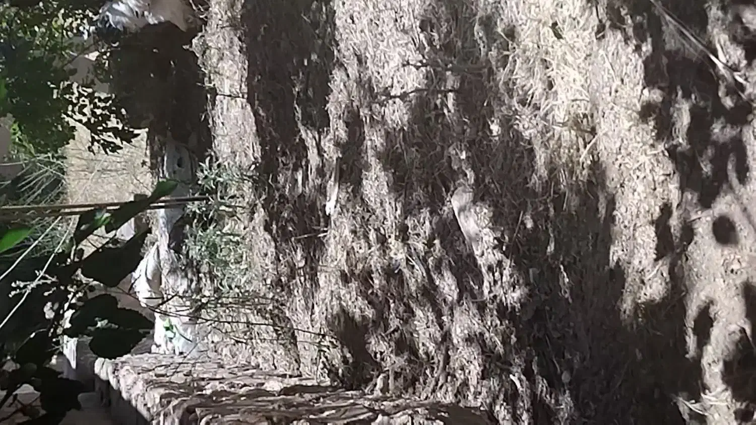 فروش زمین زراعی