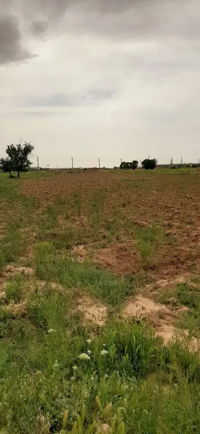 زمین فروشی