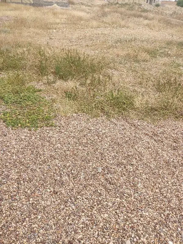زمین روستای دشت اکبر