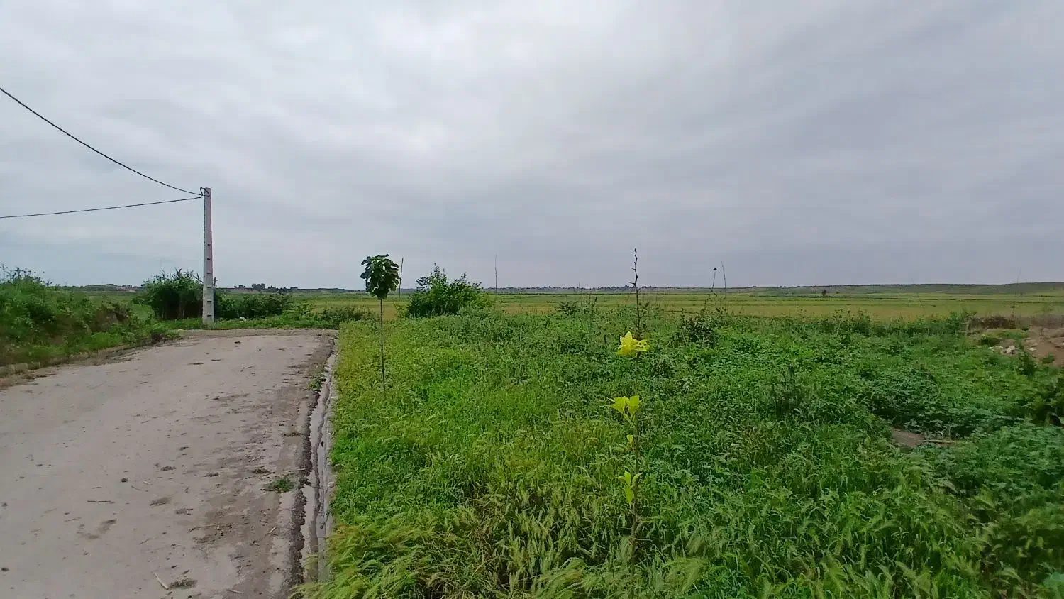 زمین مسکونی کلاله روستای همت اباد