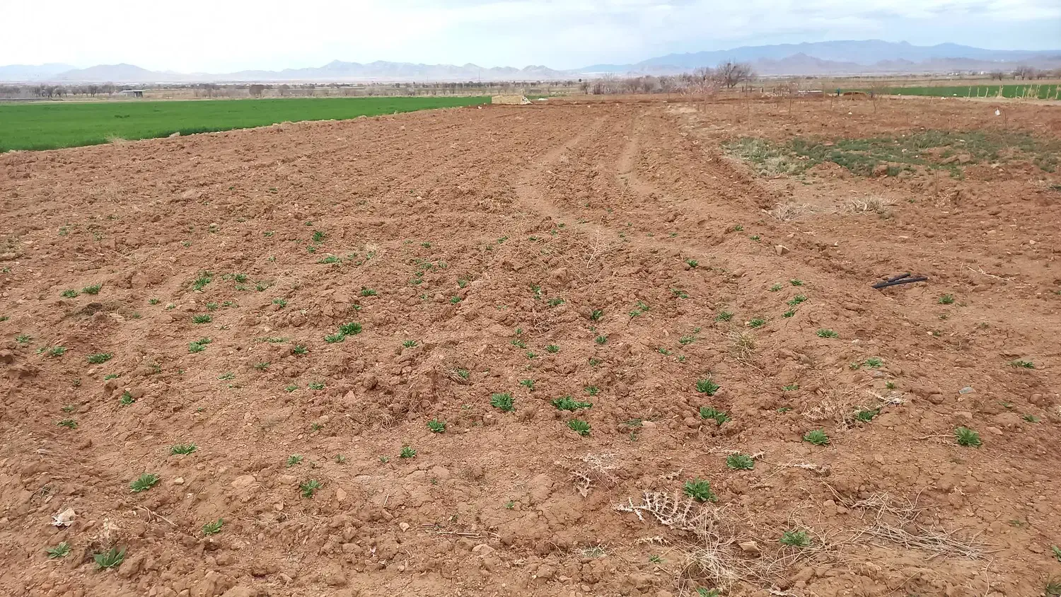 زمین کشاورزی کنار جاده موقعیت عالی