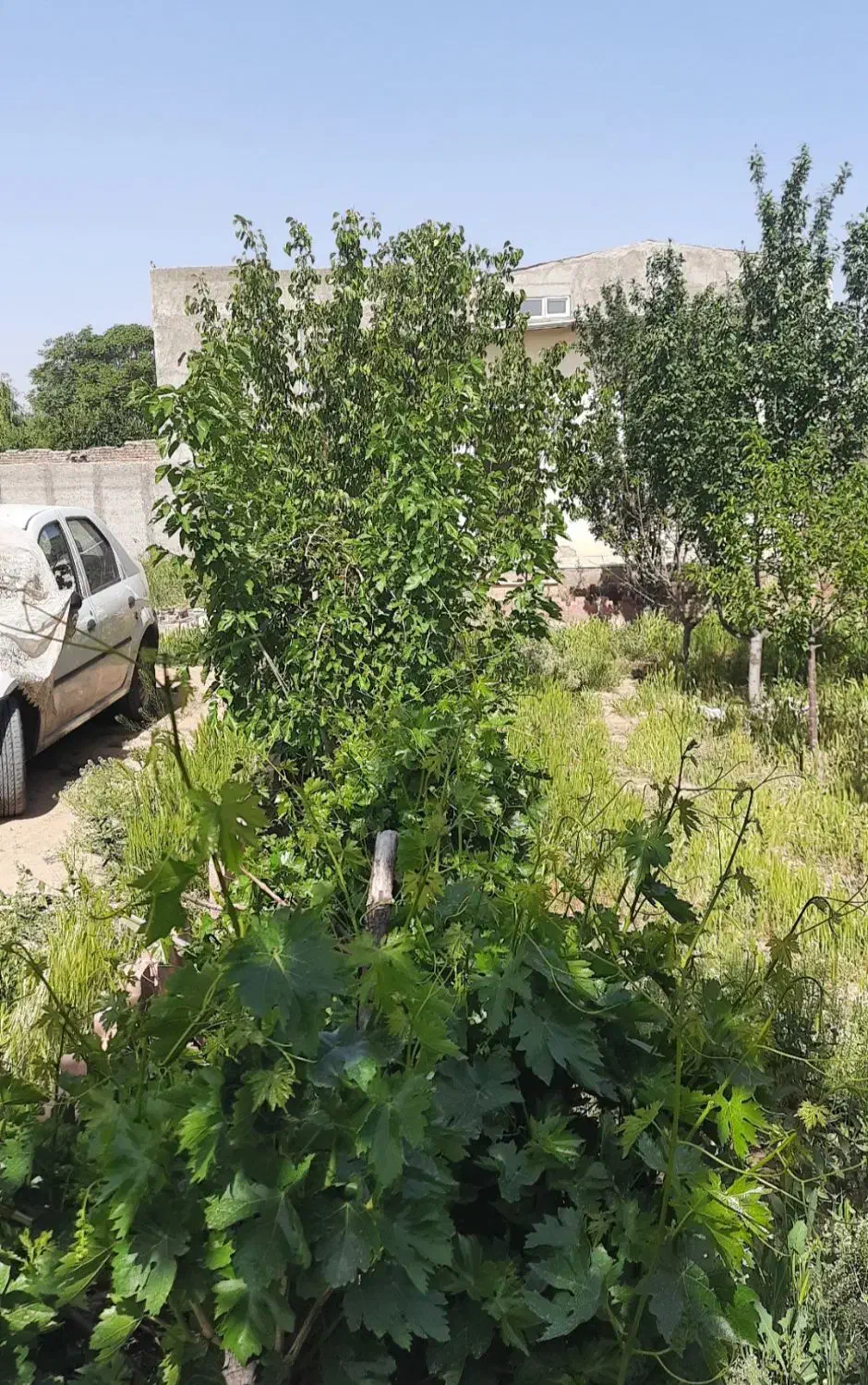 ۴۳۰ متر۴۰متربناقیمت مفت