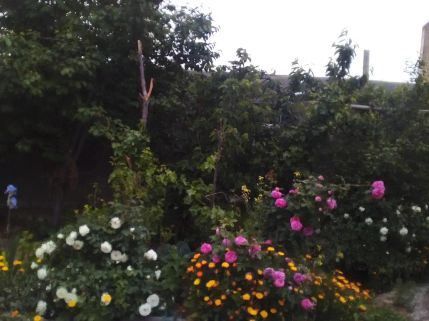 منزل ویلایی