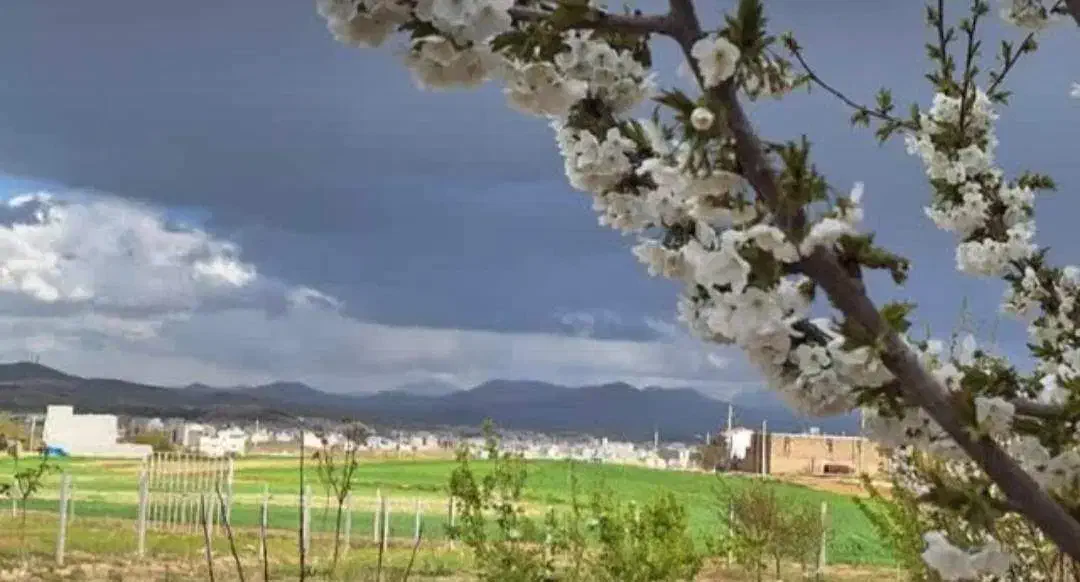 باغچه روستای باغموری