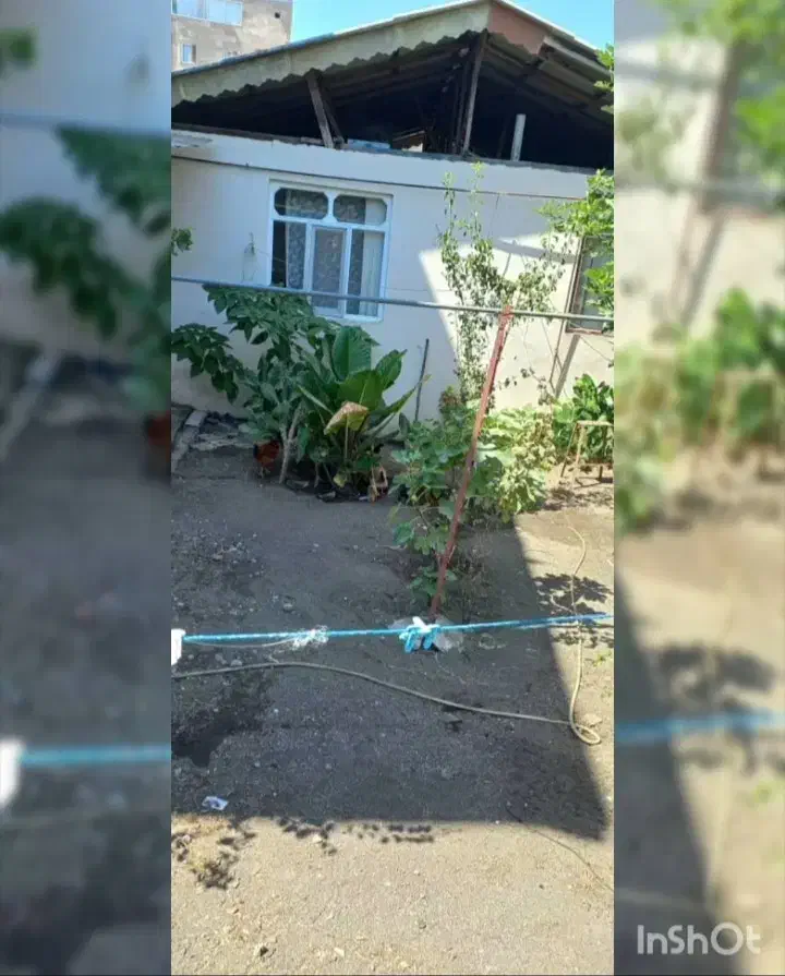سوئیت حیاطدار
