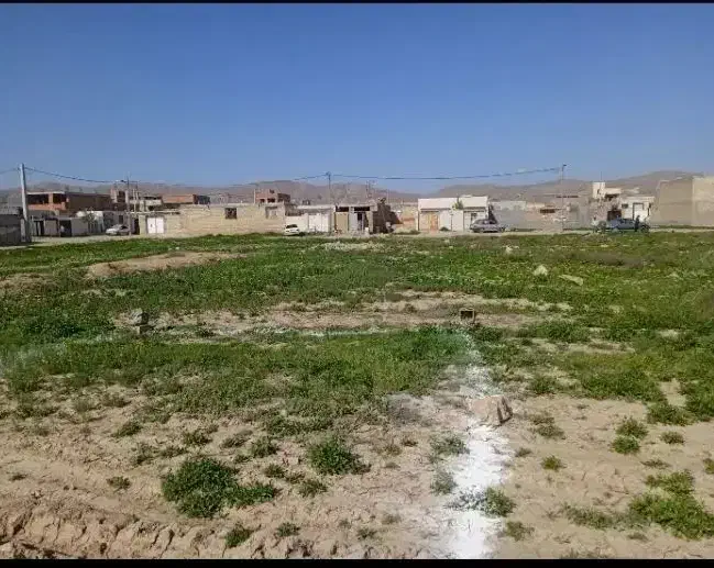 زمین محمد علی پهلوان