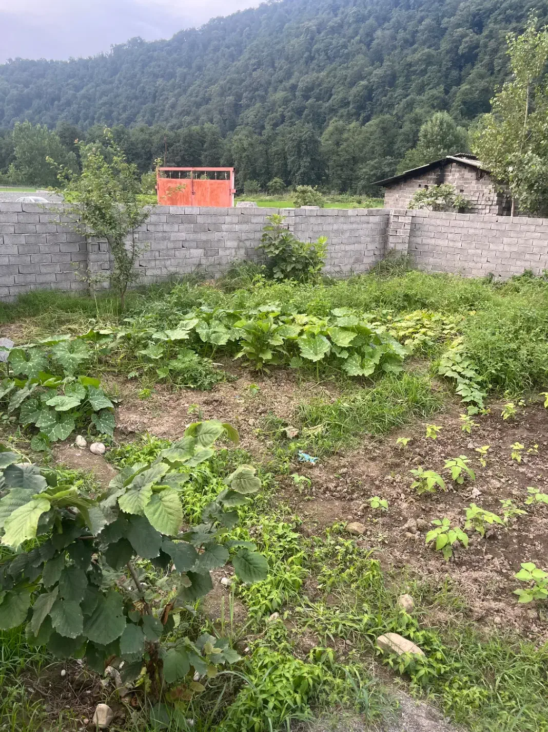 زمین مسکونی بیرون روستای رزکه