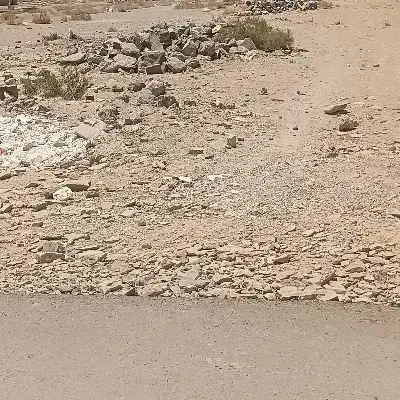 زمین دو قطعه 365 متری چسبیده به هم
