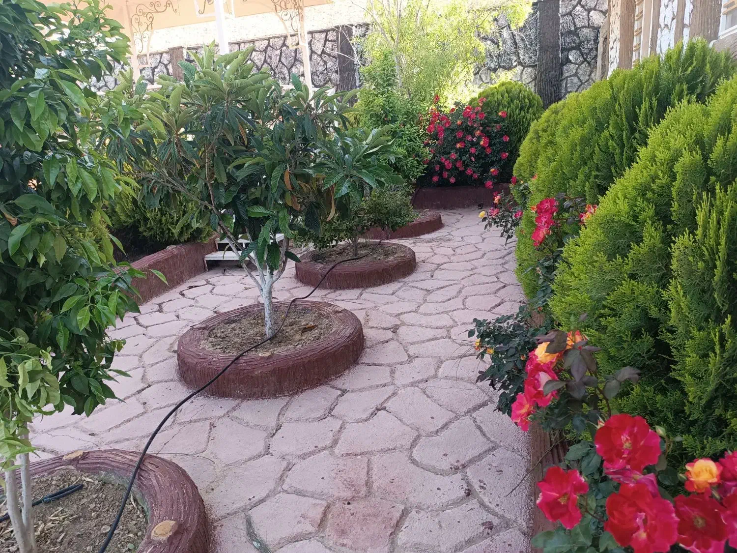 خواهان مشارکت در ساخت با پروانه