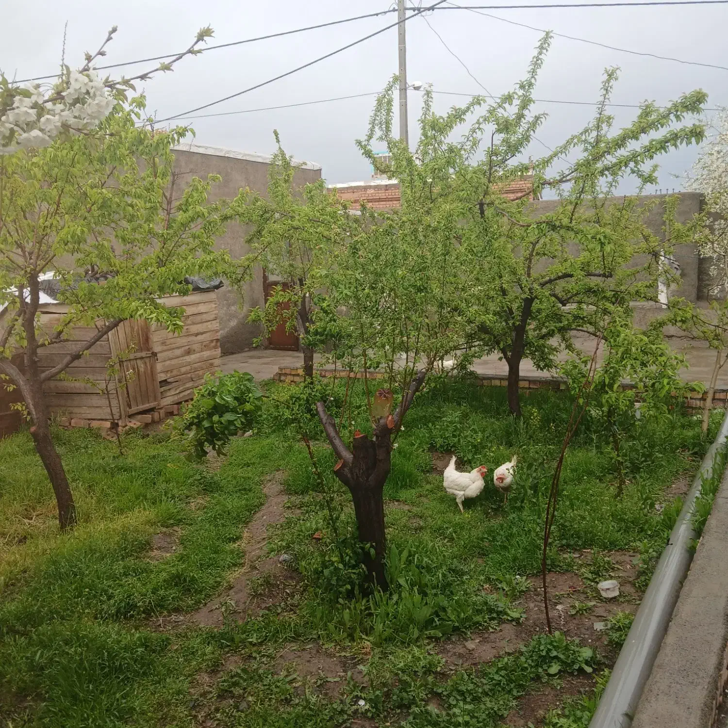 فروش خانه