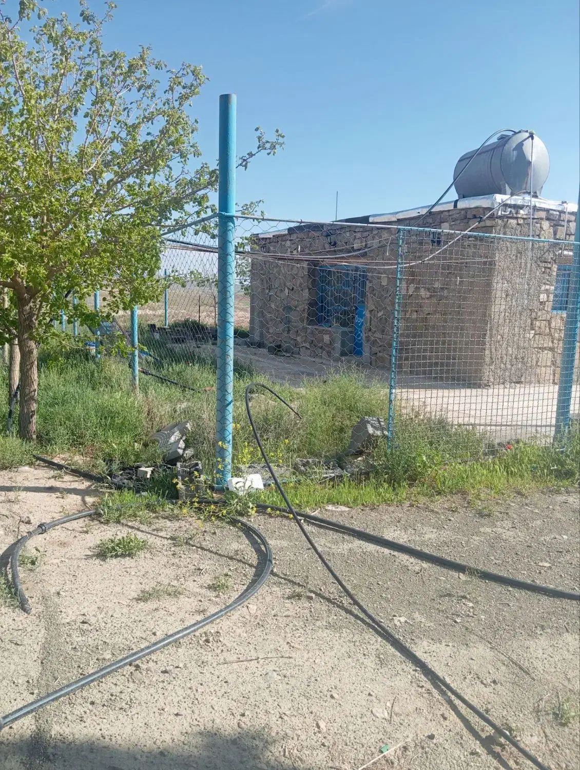 زمین کشاورزی