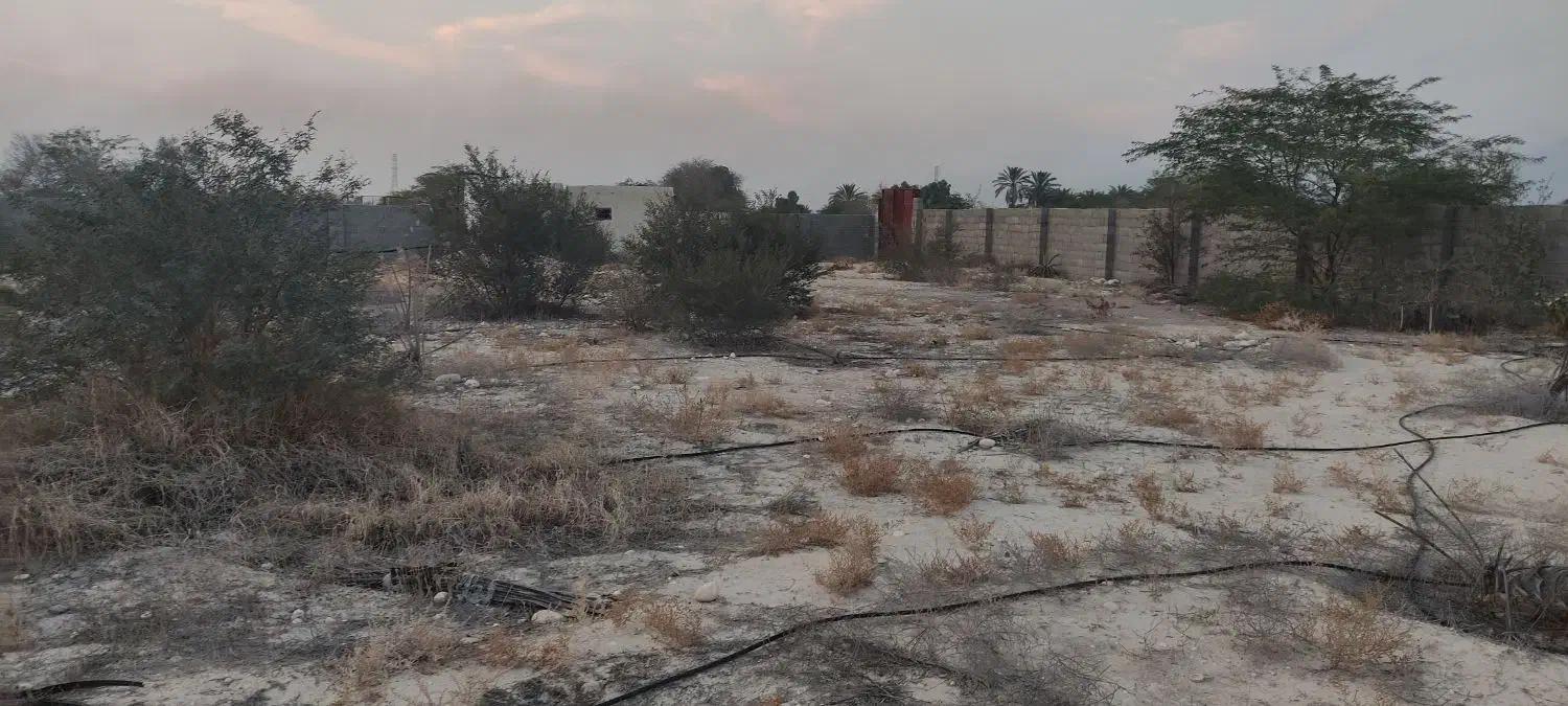 زمین مسکونی