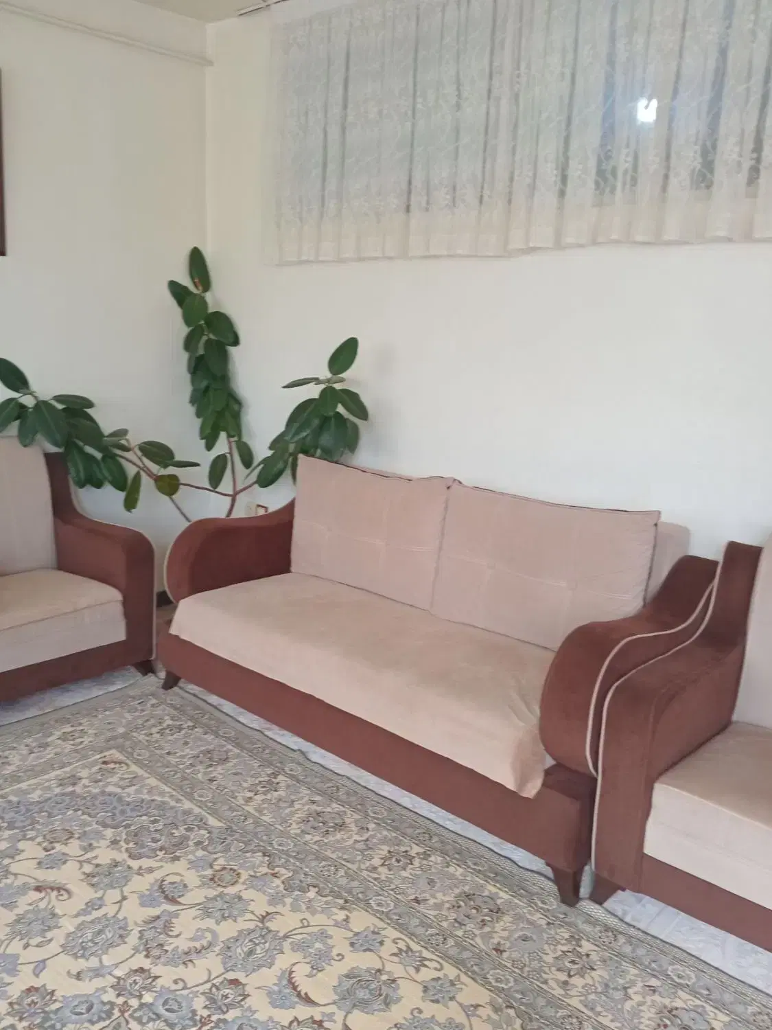 سویت اجاره ای