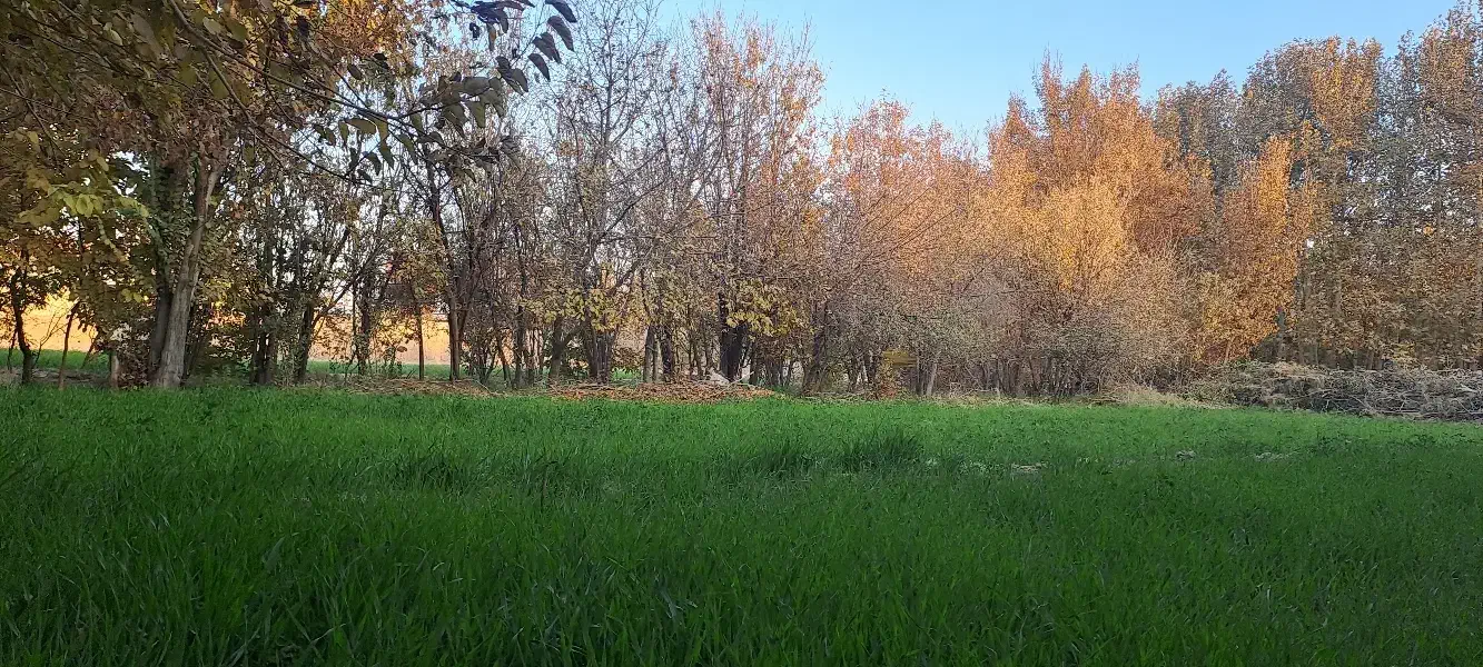 زمینی با قیمت مناسب