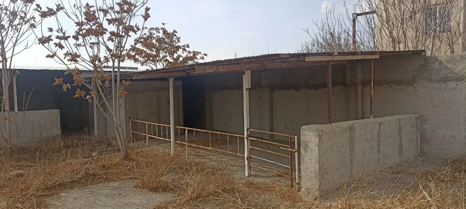 یک قطعه زمین جواز دامداری در ابراهیم بیگی