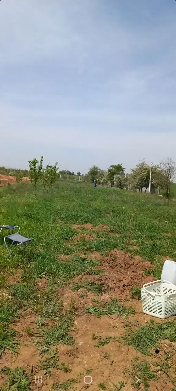 زمین باغی آینده دار
